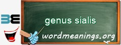 WordMeaning blackboard for genus sialis